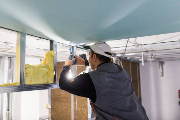Best Spray Foam Insulation in Wellsville, MO