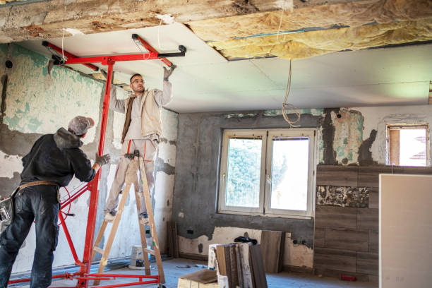 Reliable Wellsville, MO Insulation Contractor Solutions