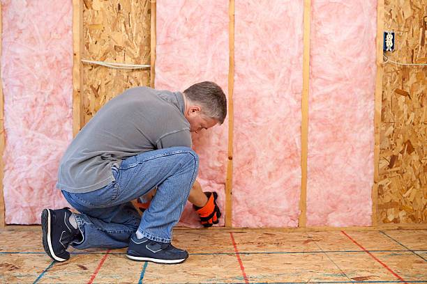 Best Cellulose Insulation in Wellsville, MO